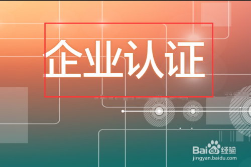 专家